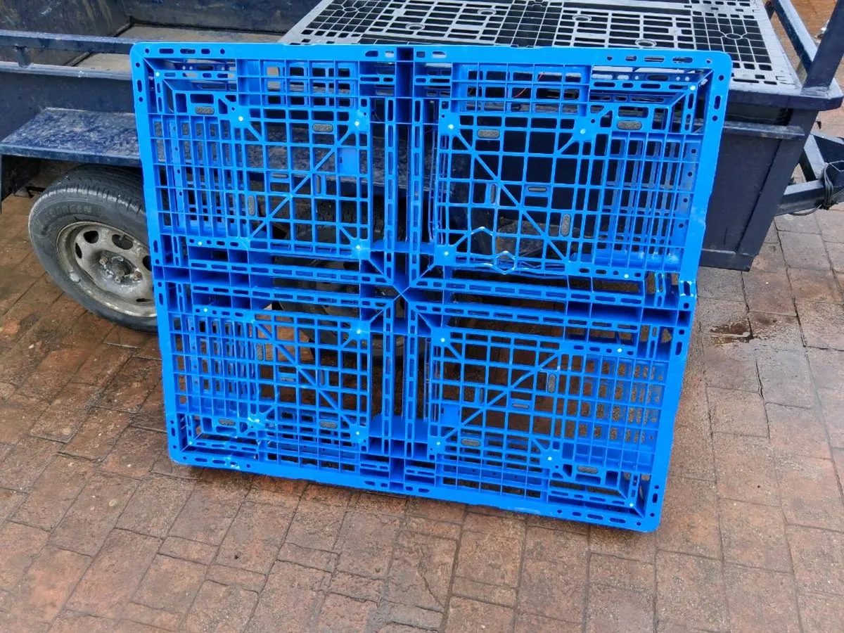 Plastic pallets - Image 4