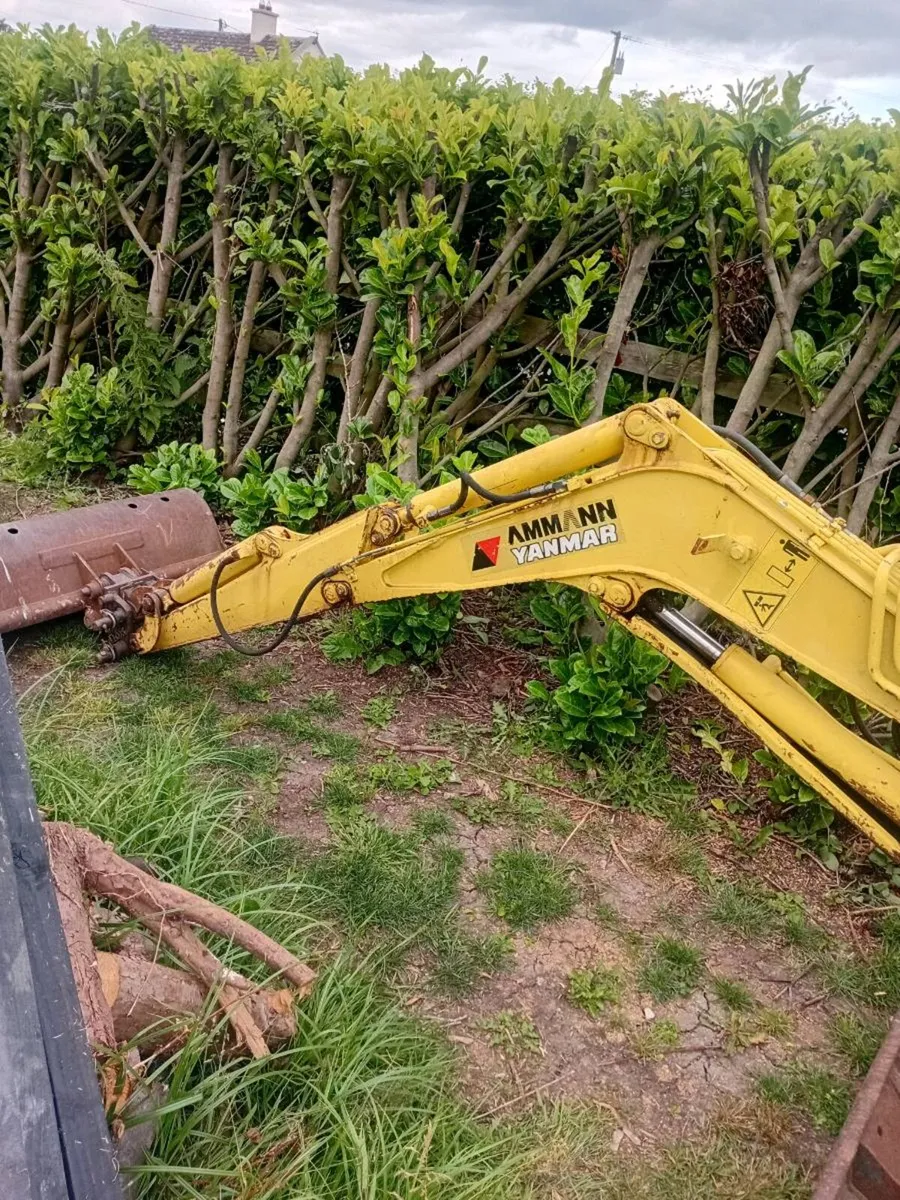 Yanmar minidigger - Image 3