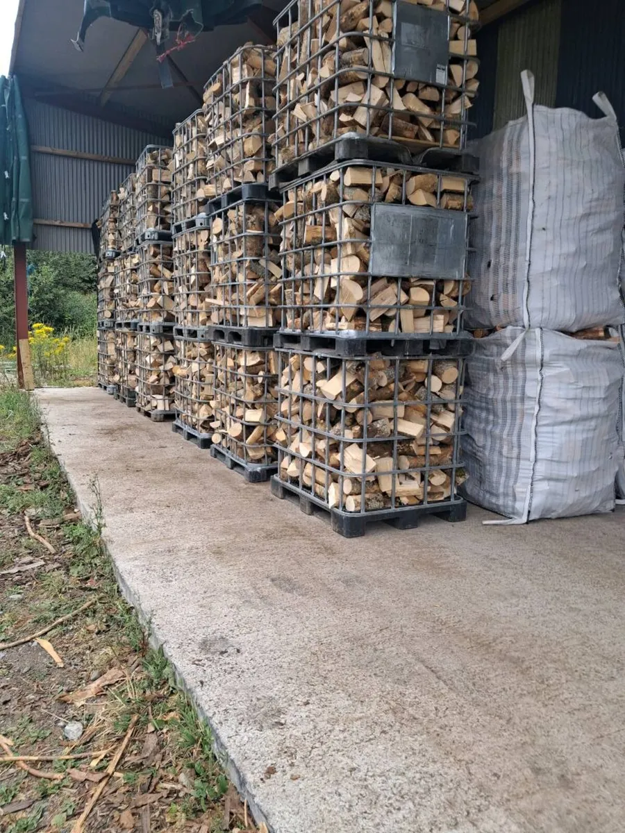 Firewood  kiln dried hardwood and softwood - Image 4