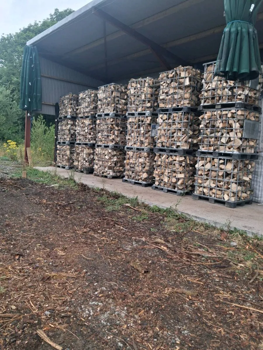 Firewood  kiln dried hardwood and softwood - Image 3