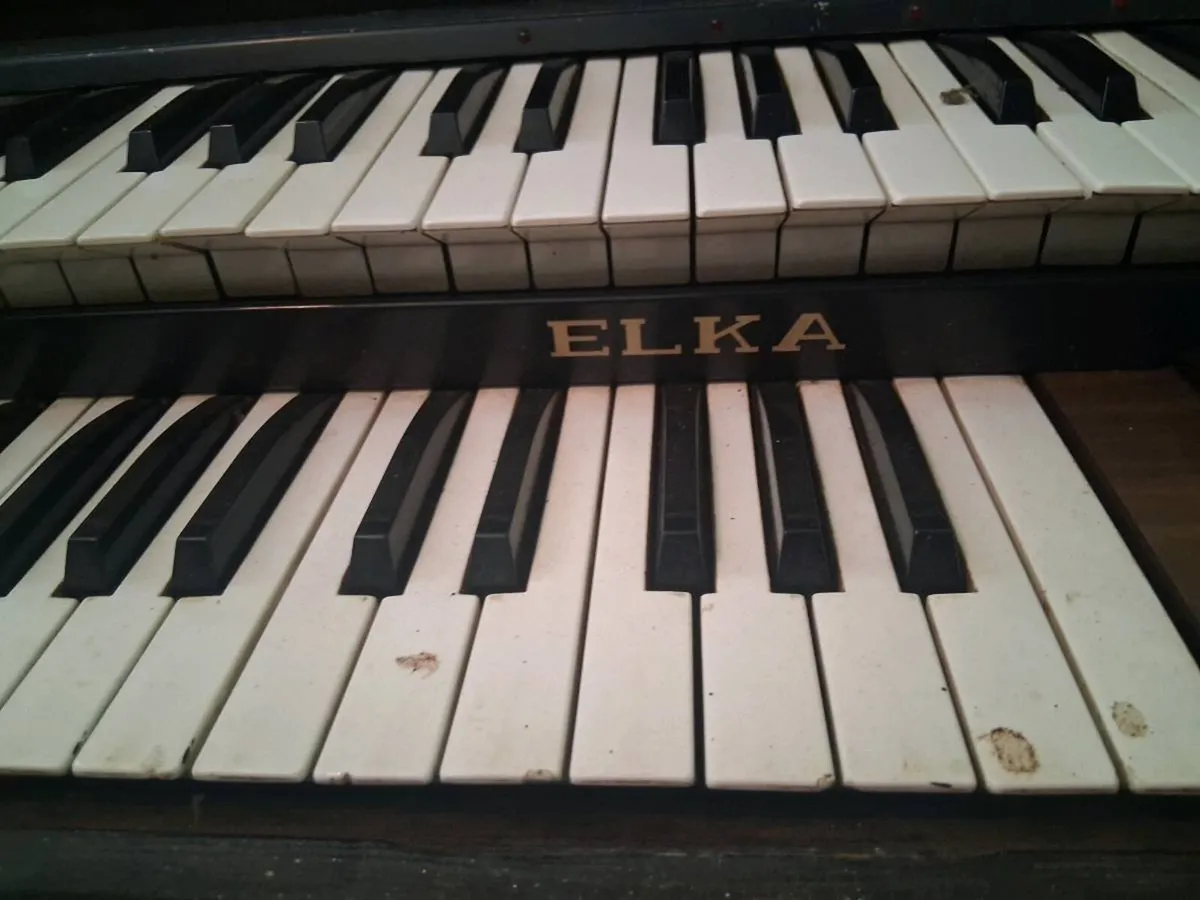 Ella x55 organ - Image 2
