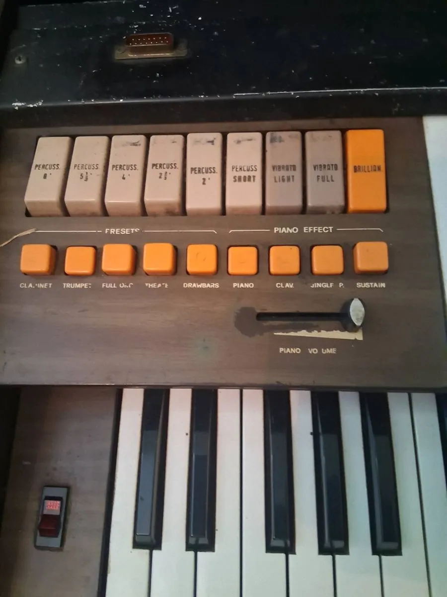 Ella x55 organ - Image 3