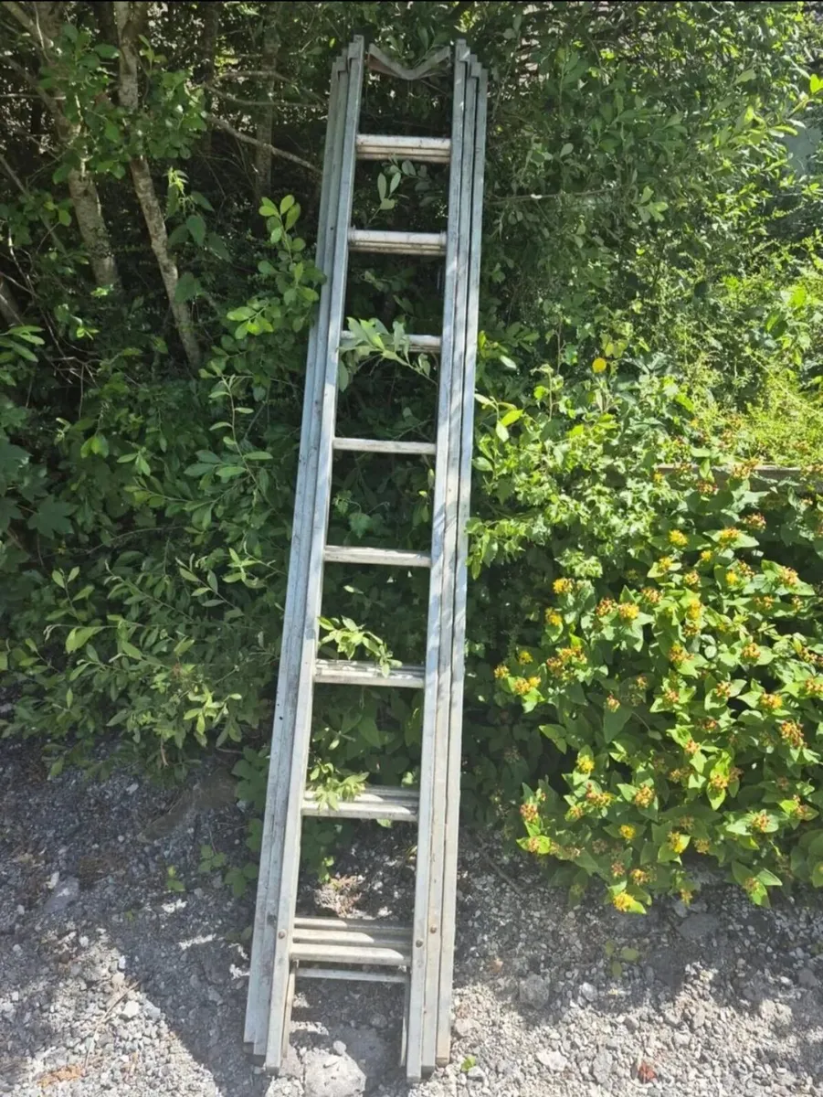 Ladders - Image 2