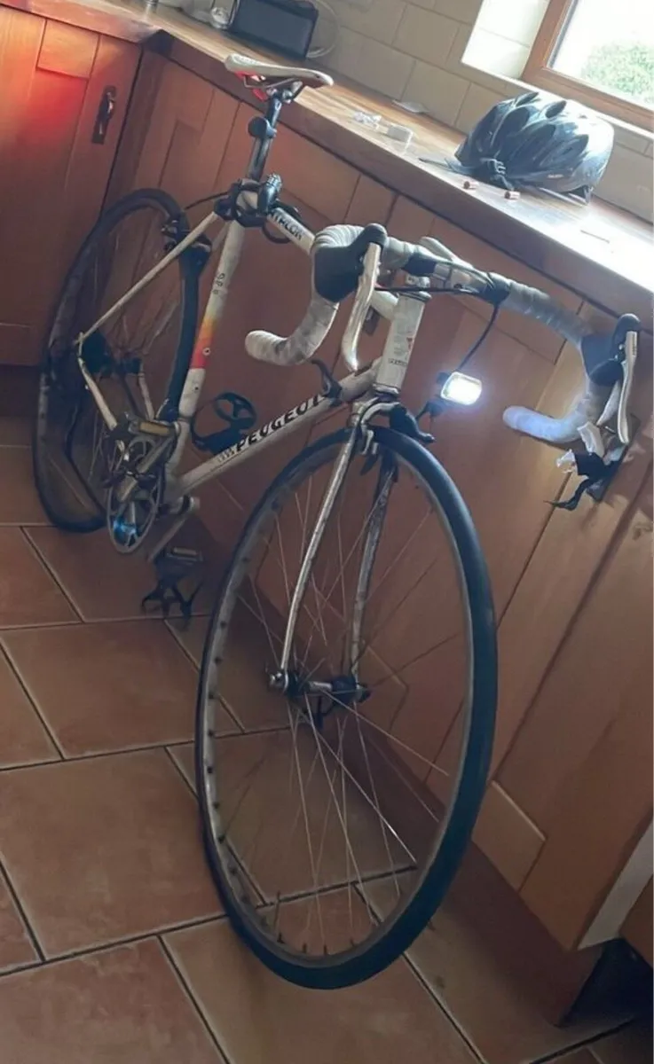 Peugeot Triathlon - Image 2
