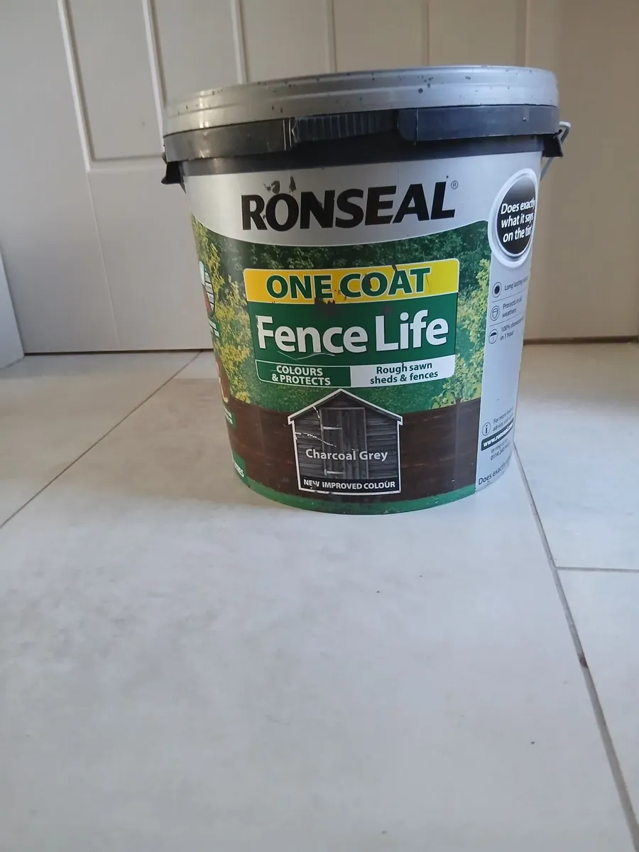 Free - Bench Press, Shed Paint, Boys Bike - Image 2