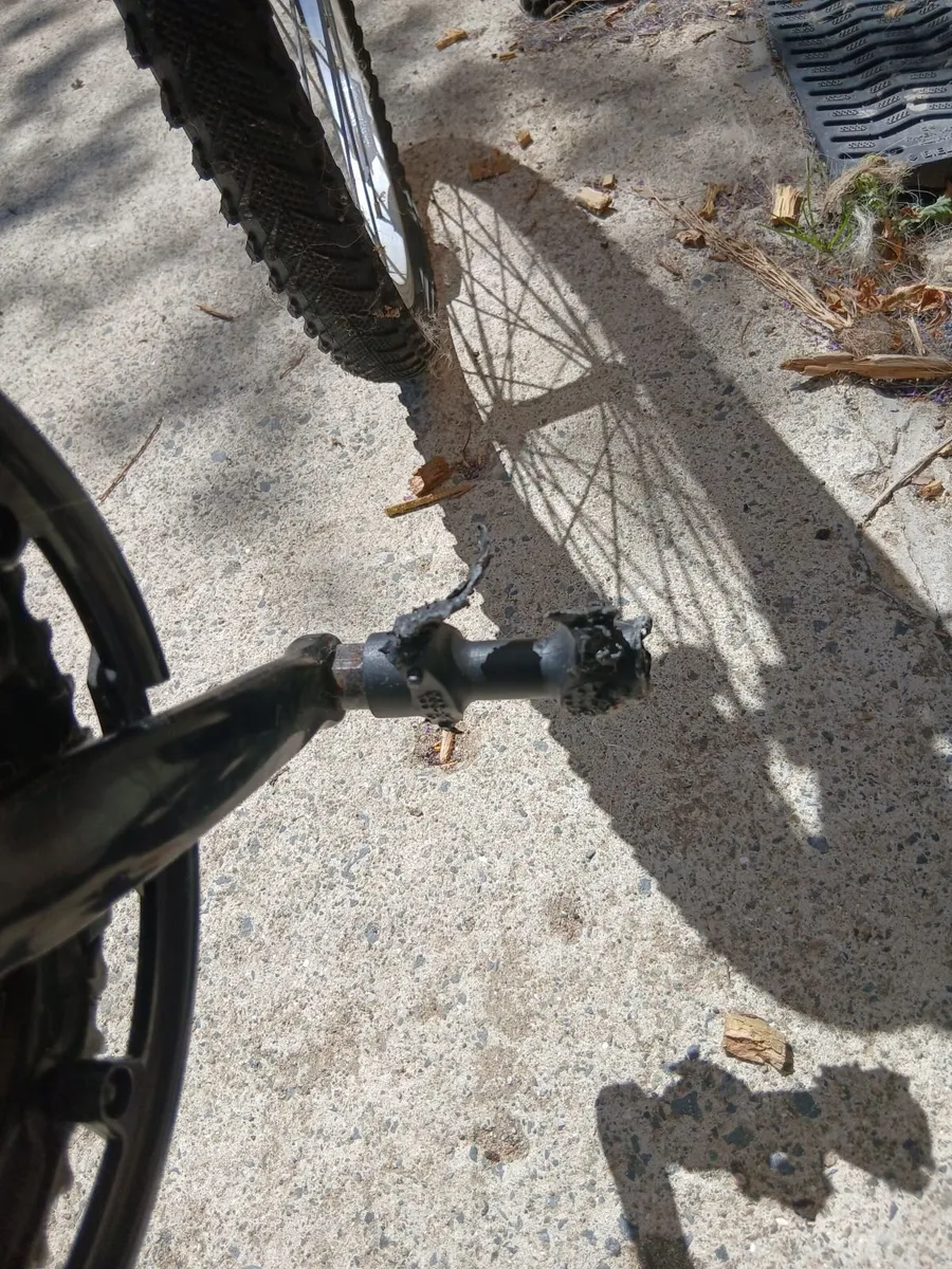 Free - Bench Press, Shed Paint, Boys Bike - Image 3