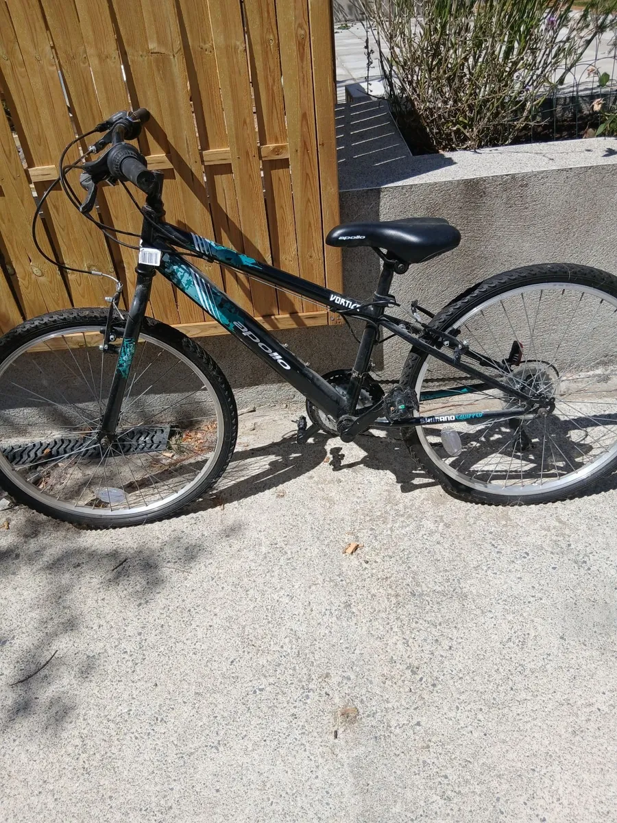 Free - Bench Press, Shed Paint, Boys Bike - Image 4