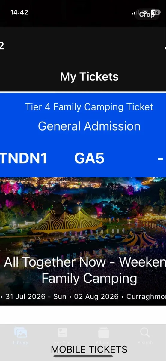 All together now festival - Image 2