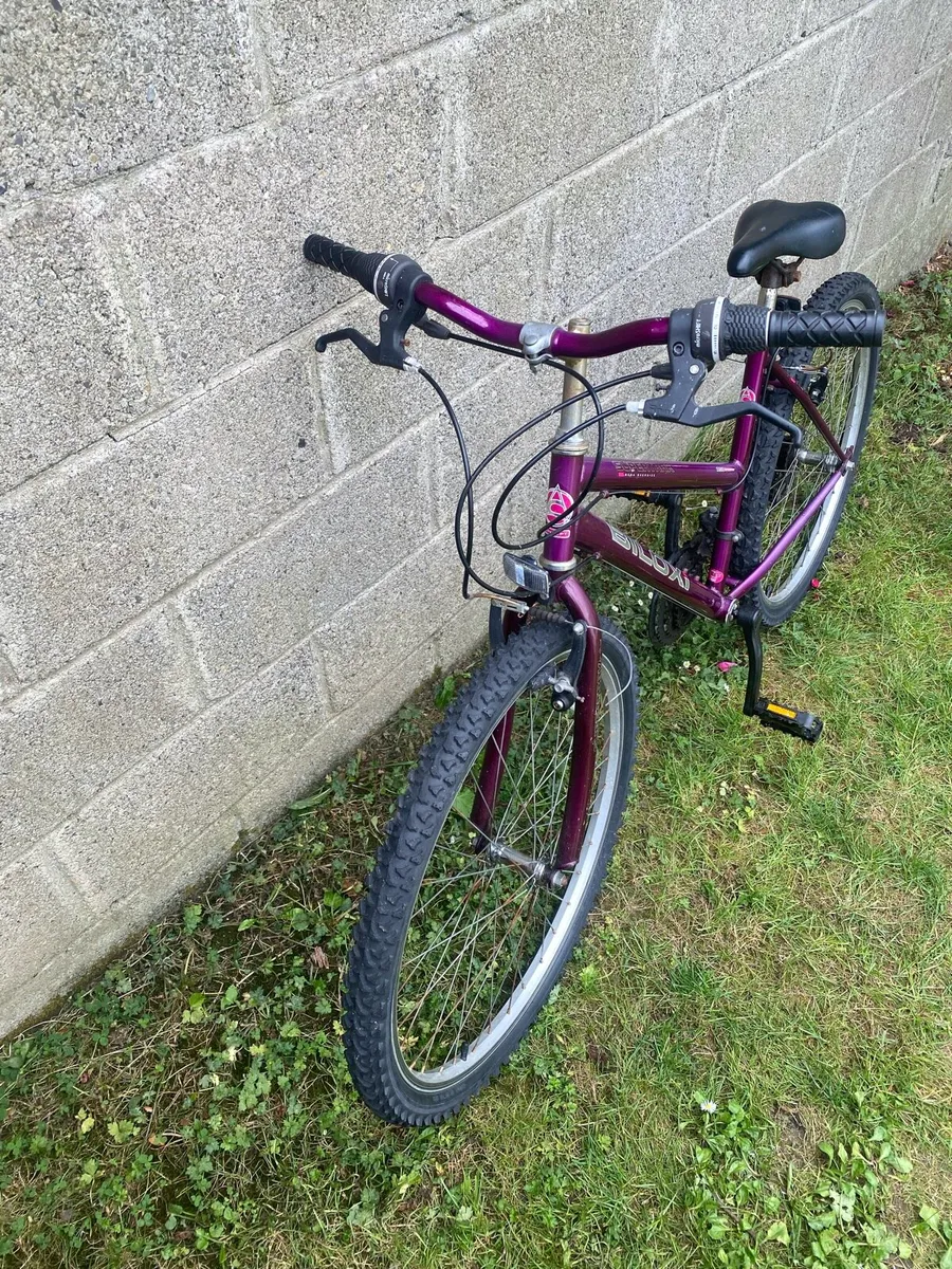 Girl or ladies bike - Image 2