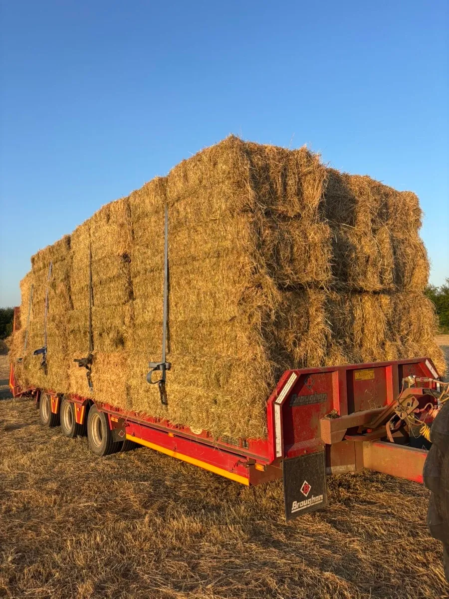 New Hay and Straw made - Image 1