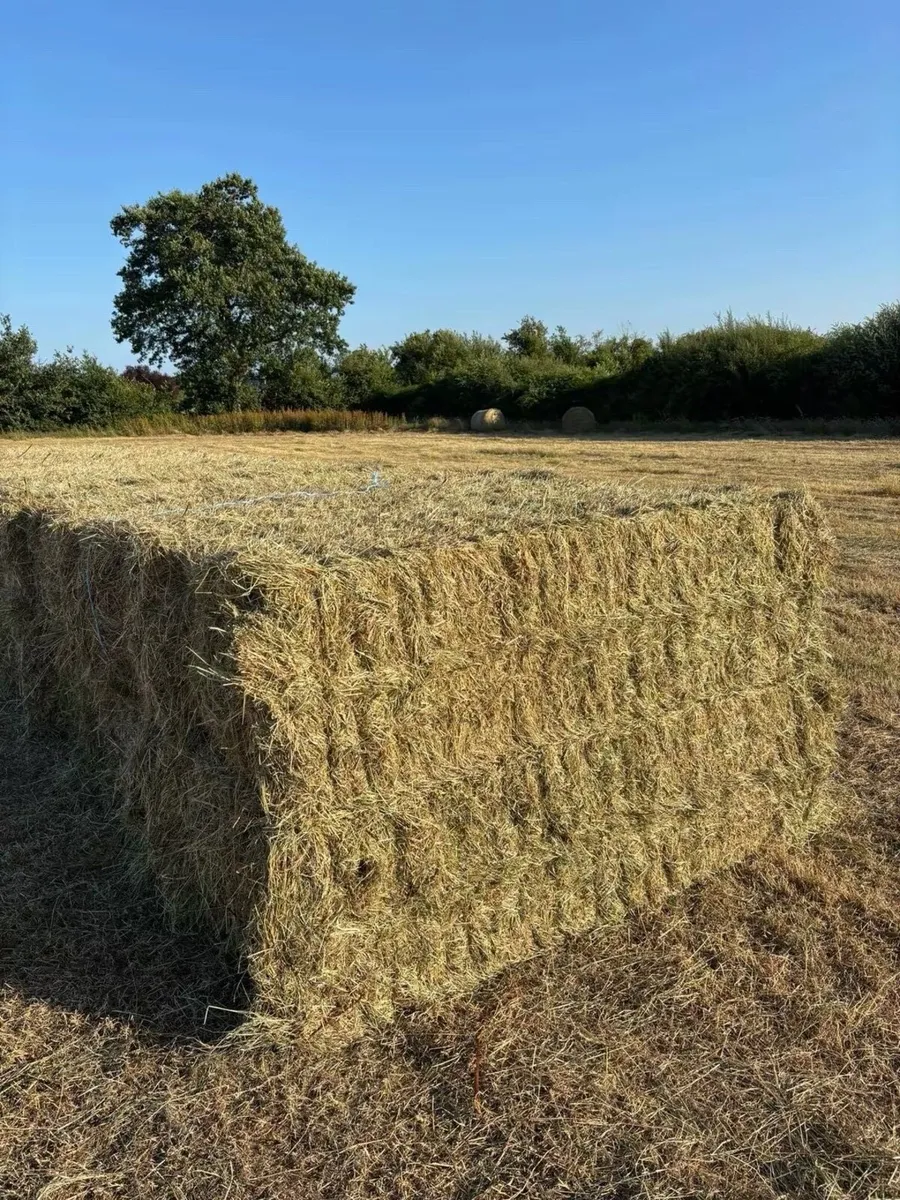 New Hay and Straw made - Image 4