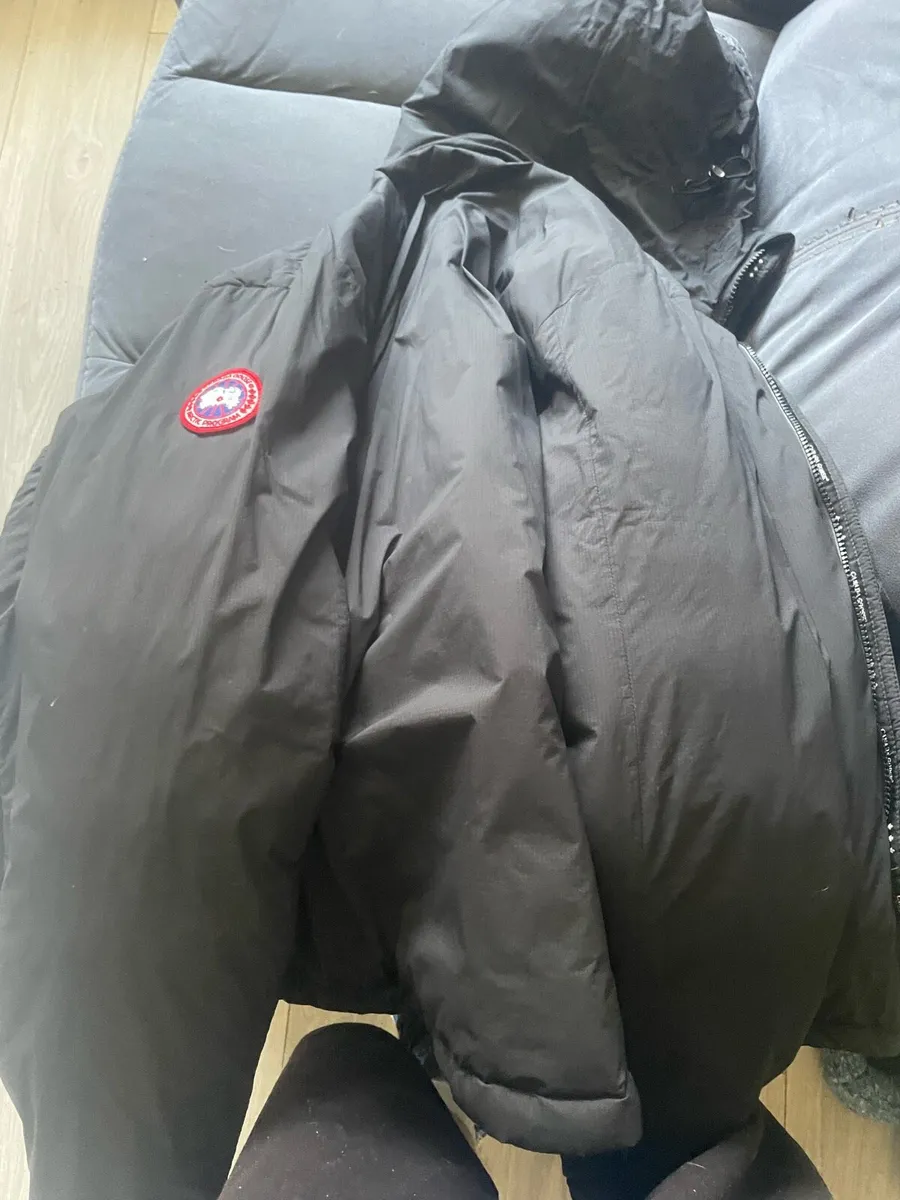 Canada goose - Image 1