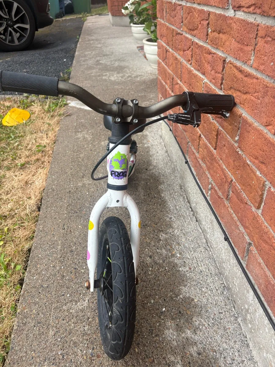 Frog Tadpole bike - Image 2