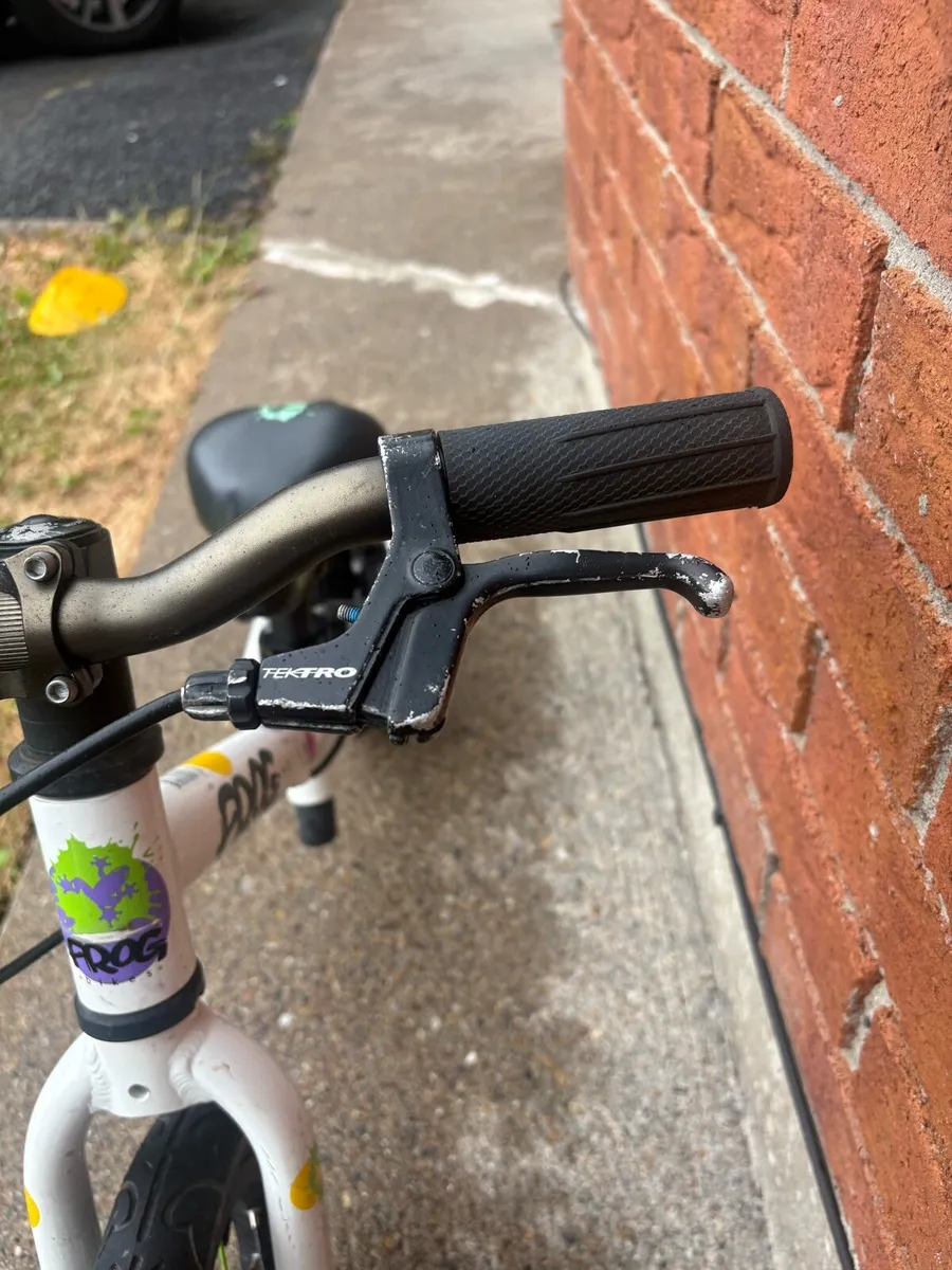 Frog Tadpole bike - Image 3