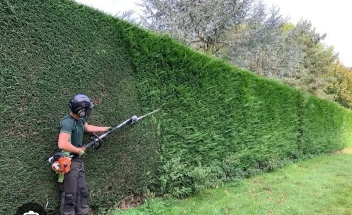 Hedge cutting available