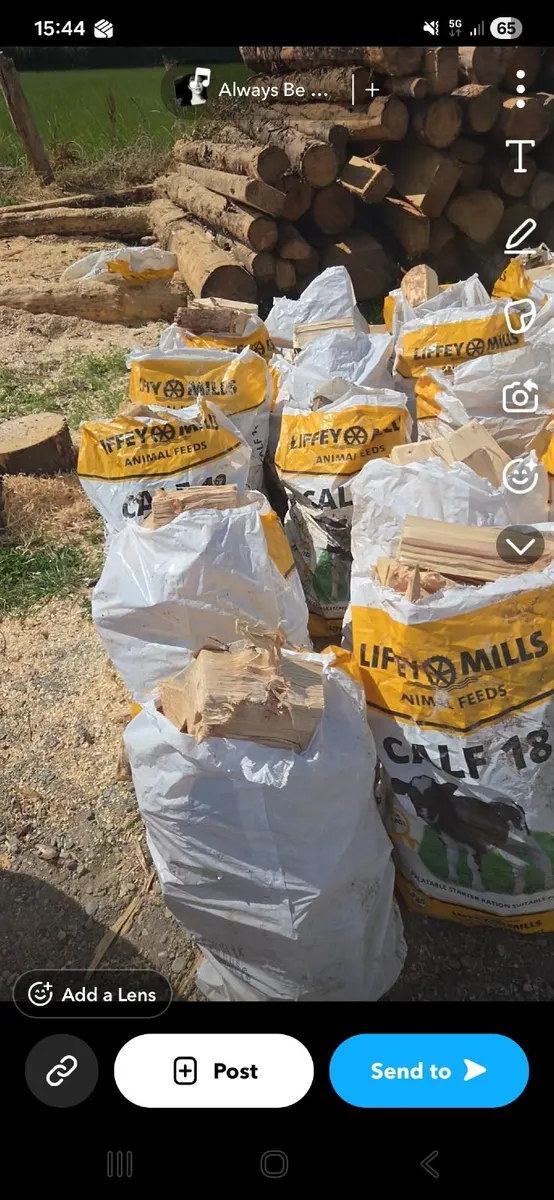 Firewood - Image 2