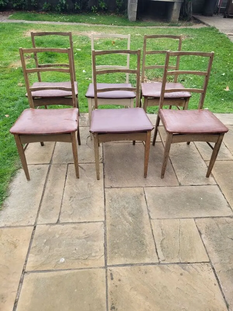 6 dining chairs - Image 1