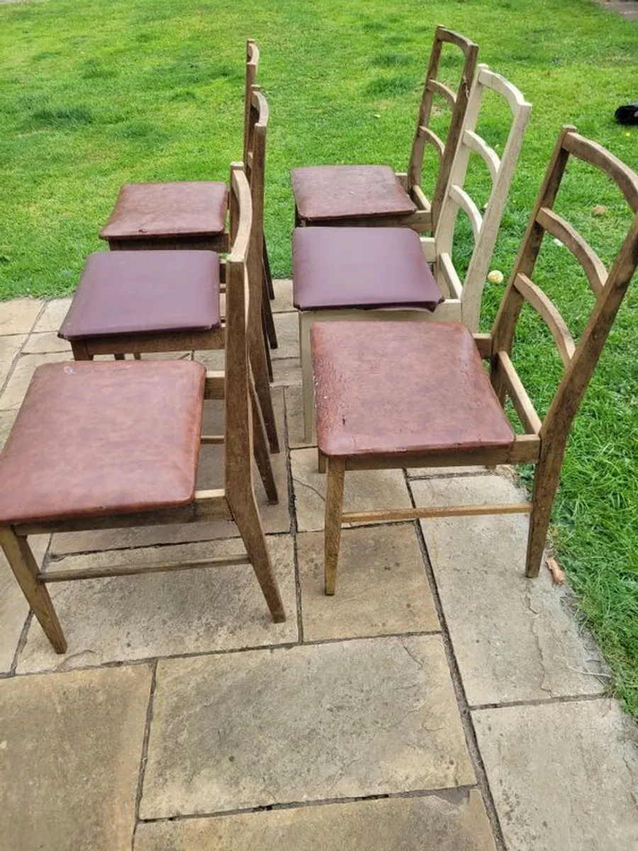 6 dining chairs - Image 2