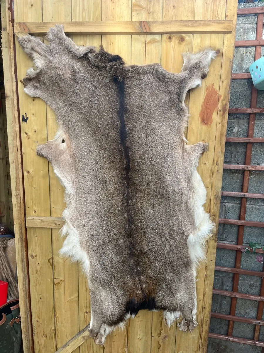 Deer skin rug
