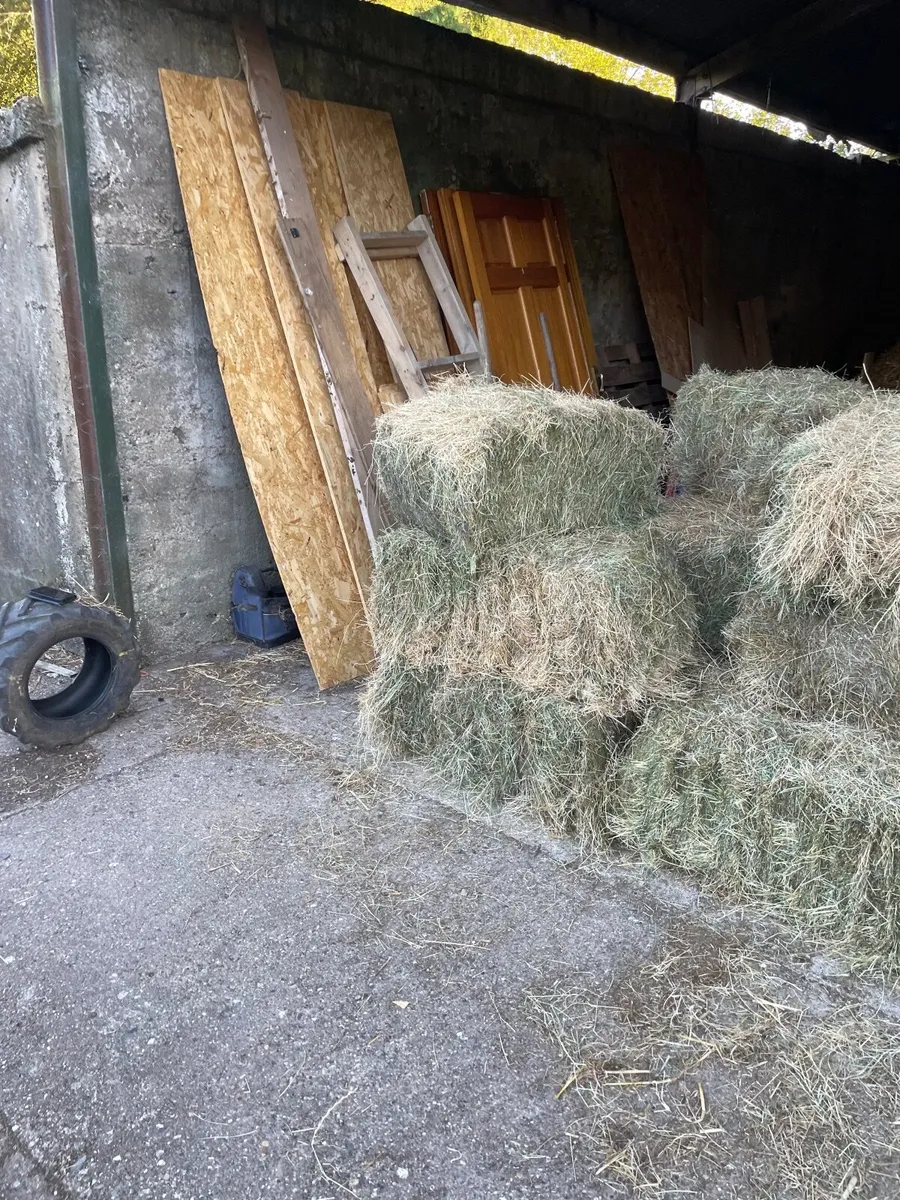 Hay - Image 3
