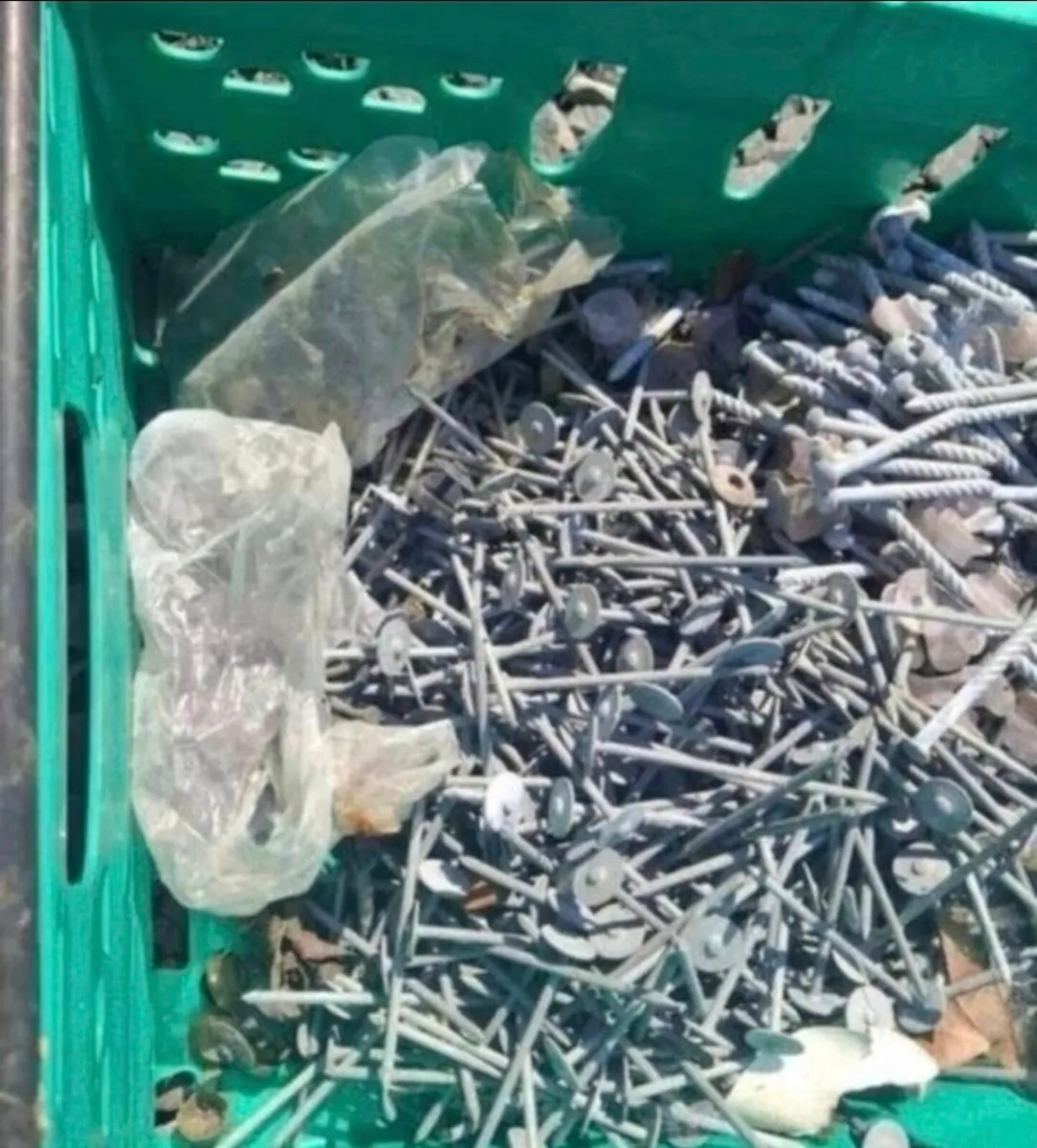 Mix of Galvanised Shed Nails - Image 3
