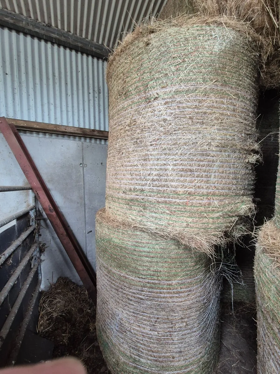 Hay - Image 1