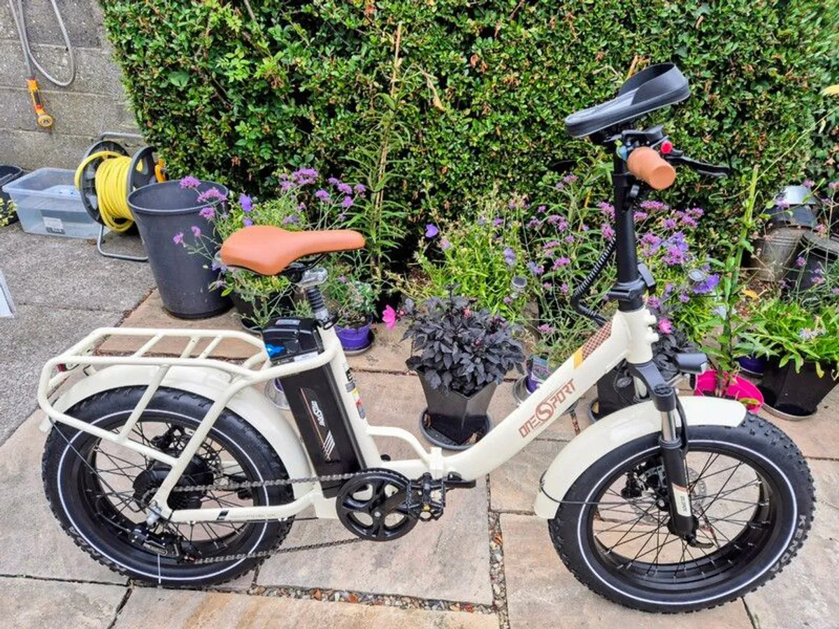 e-Bikes OT16Max (x2)