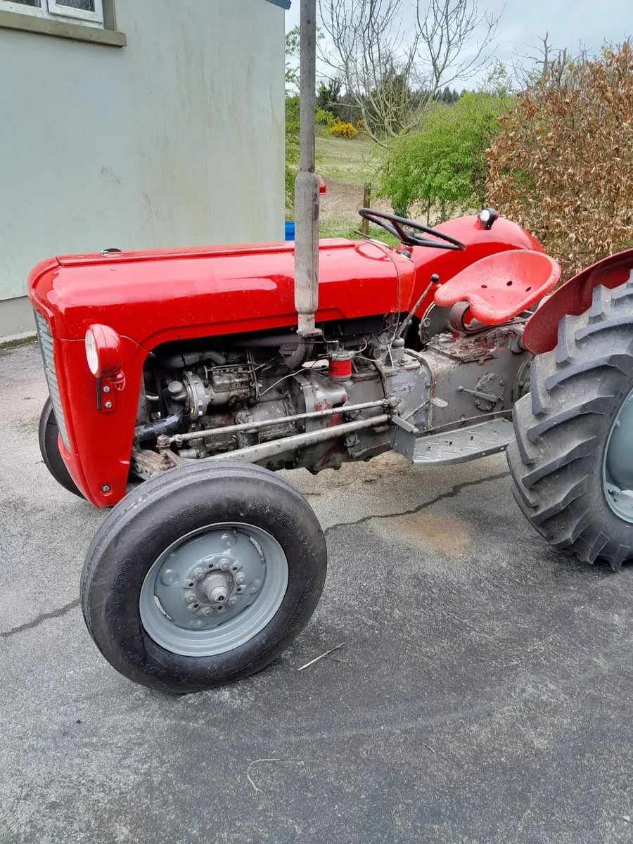 Massey Ferguson Other 1978 - Image 1