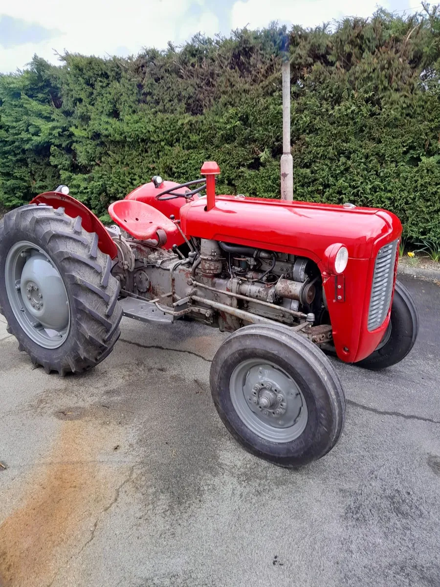 Massey Ferguson Other 1978 - Image 4