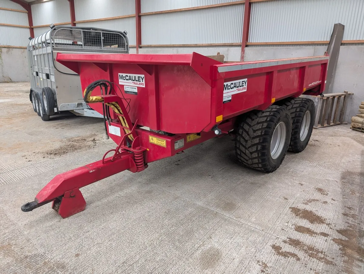 McCauley 12 ton Dump trailer - Image 4