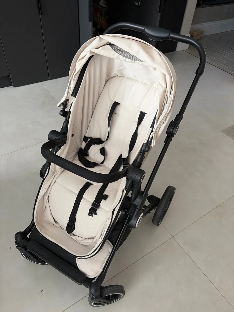 Buggy for sale - Image 2