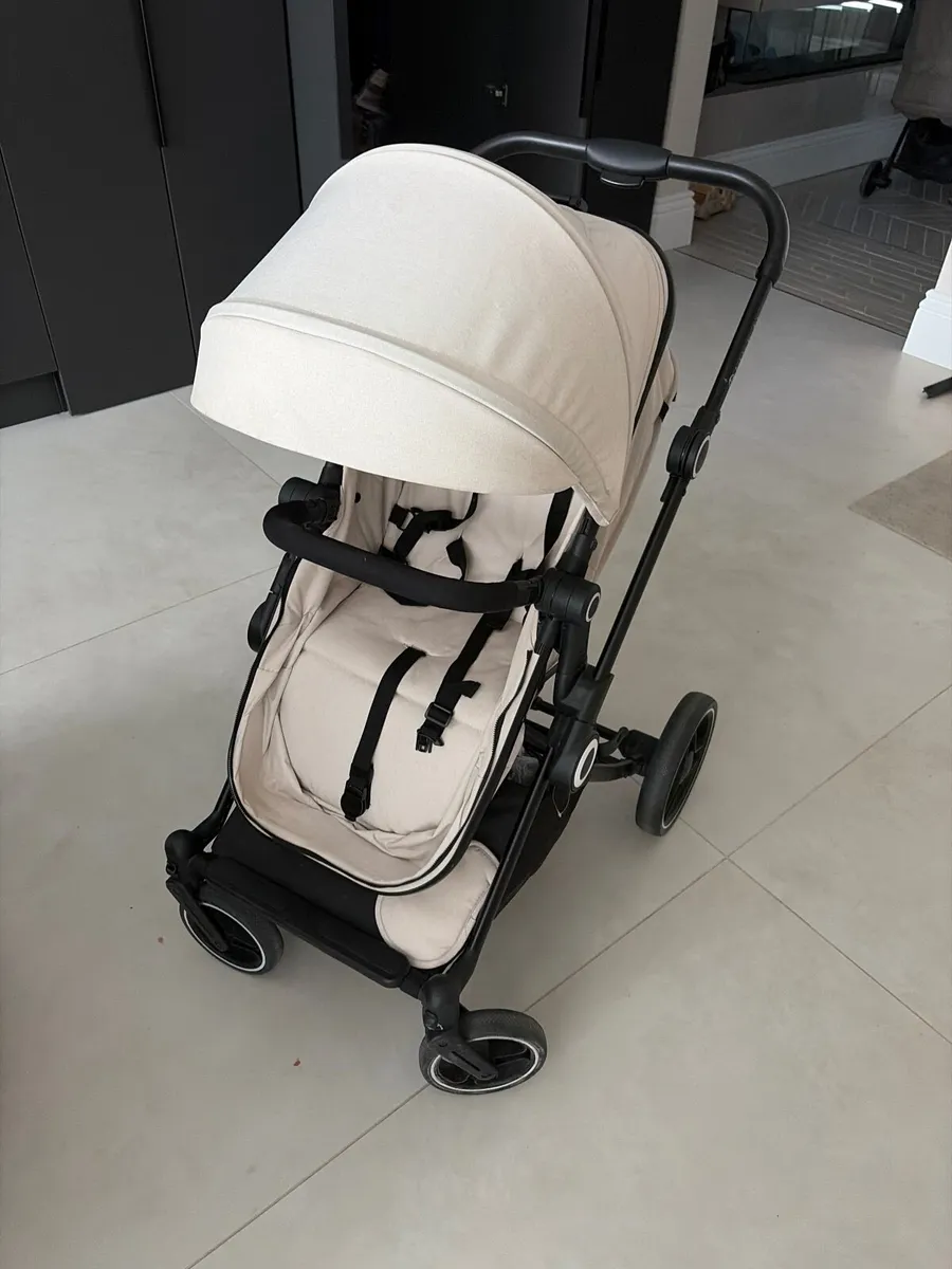 Buggy for sale - Image 3