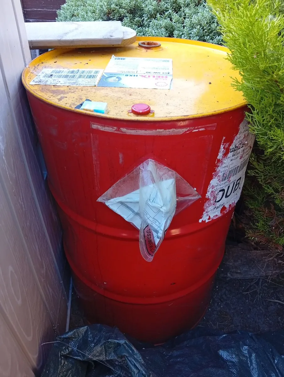 Free - Image 4