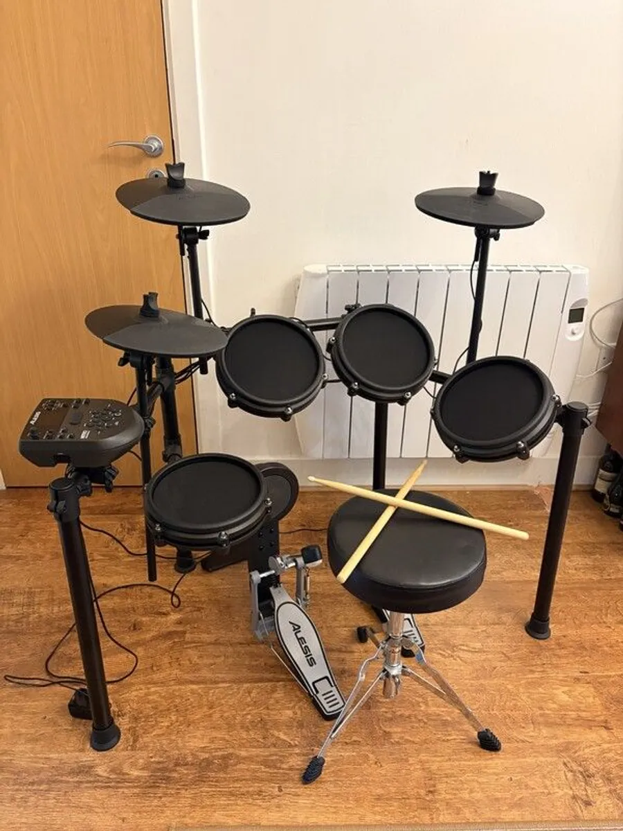 Alesis Electric Drum Kit - Image 1