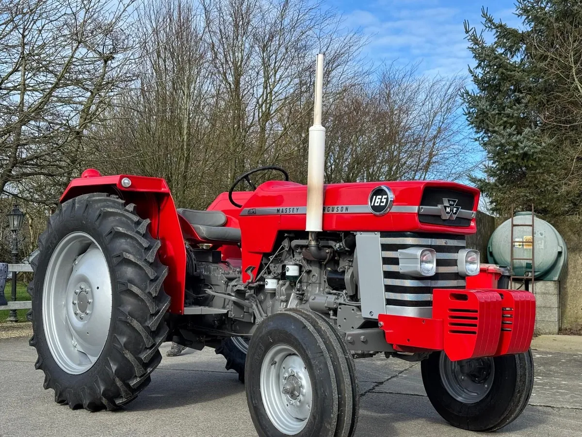 MASSEY FERGUSON 165 - Image 1