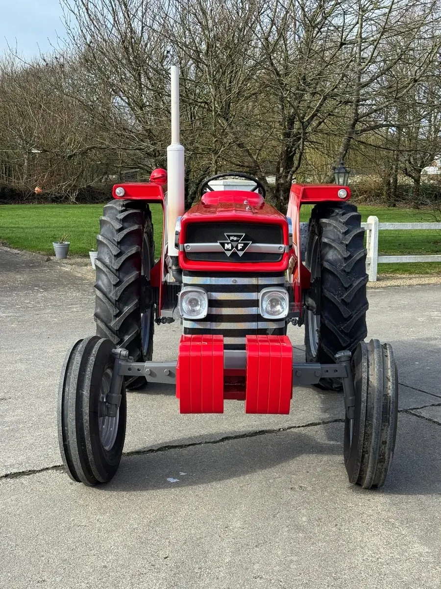 MASSEY FERGUSON 165 - Image 2