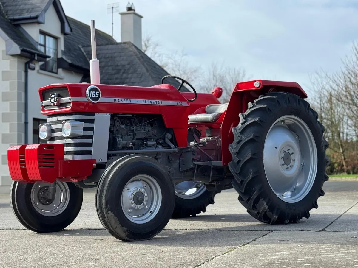 MASSEY FERGUSON 165 - Image 3