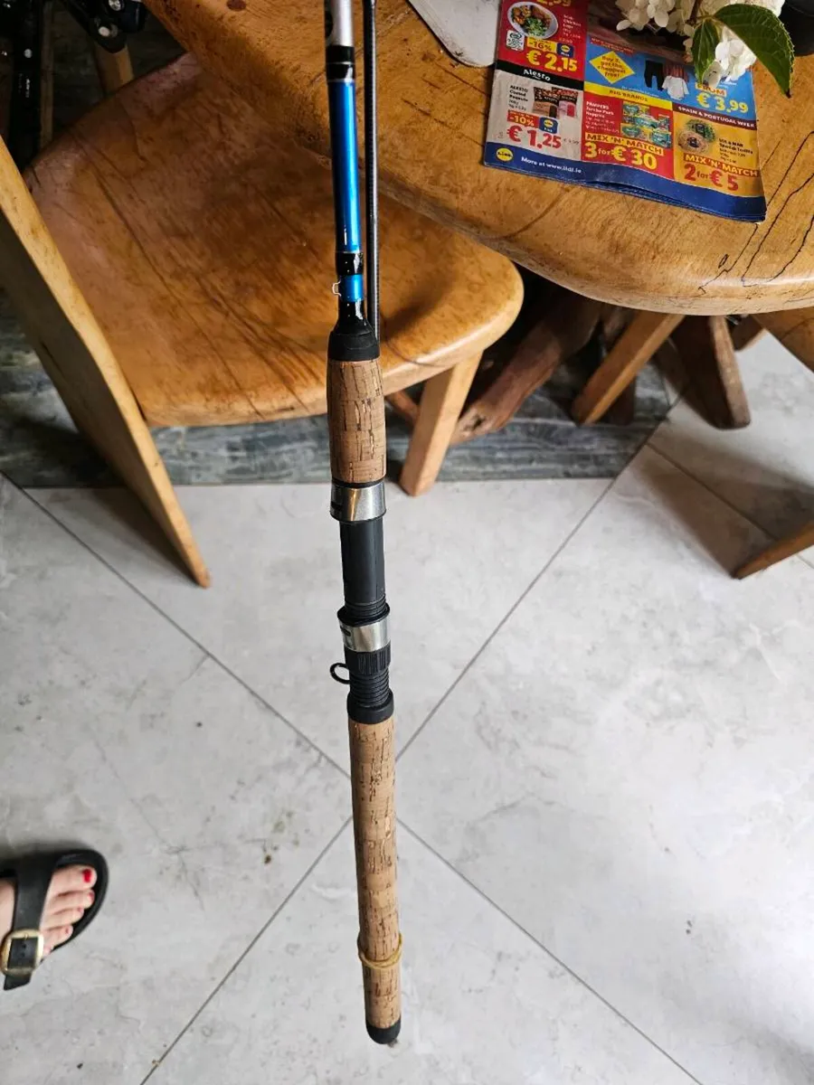 Premium Fishing Rods – G. Loomis, Sportex, Daiwa - Image 2