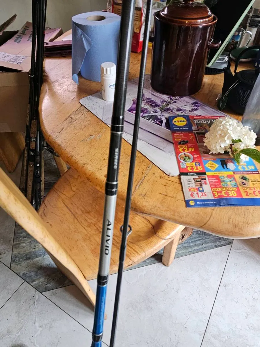 Premium Fishing Rods – G. Loomis, Sportex, Daiwa - Image 3