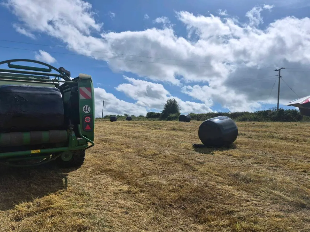 Silage bales - Image 2