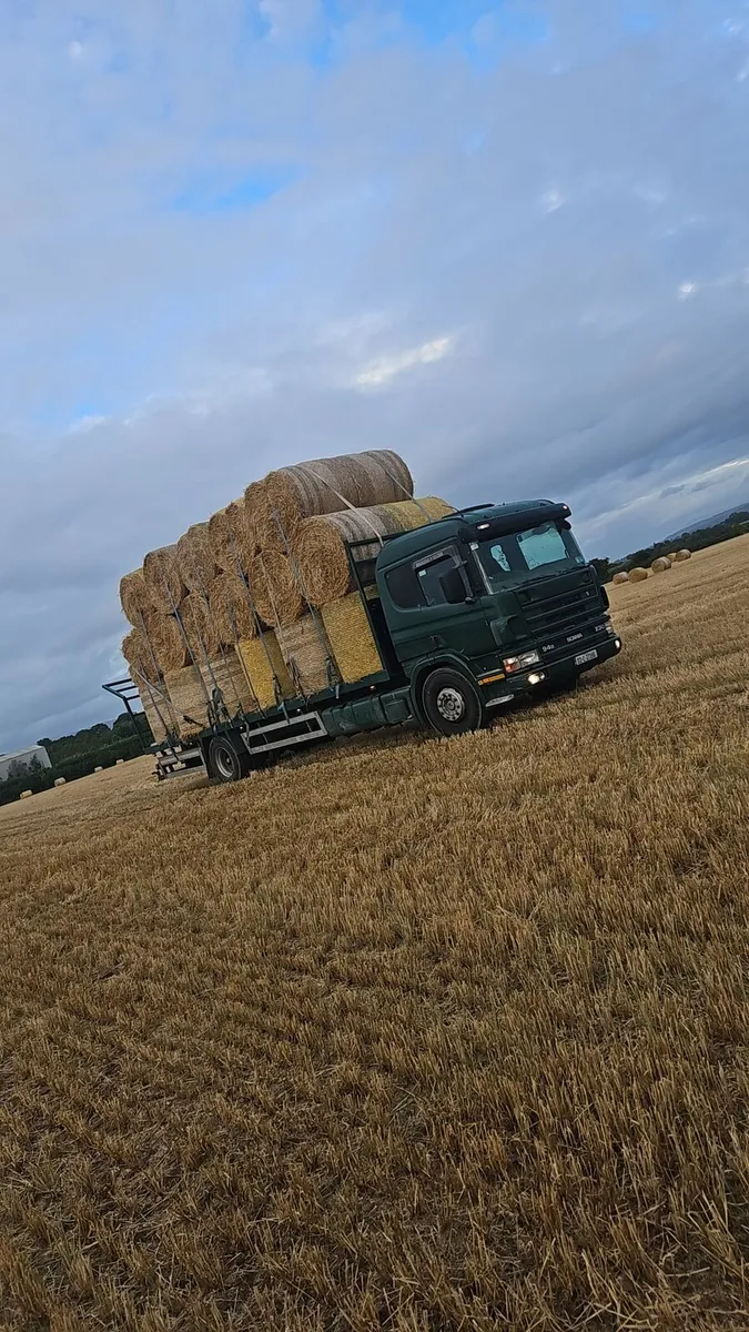 Spring Barley Straw - Image 2