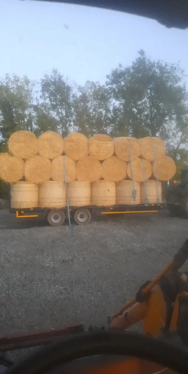 Spring Barley Straw - Image 3