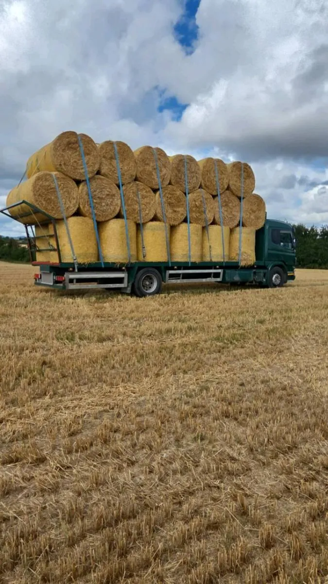 Spring Barley Straw - Image 1