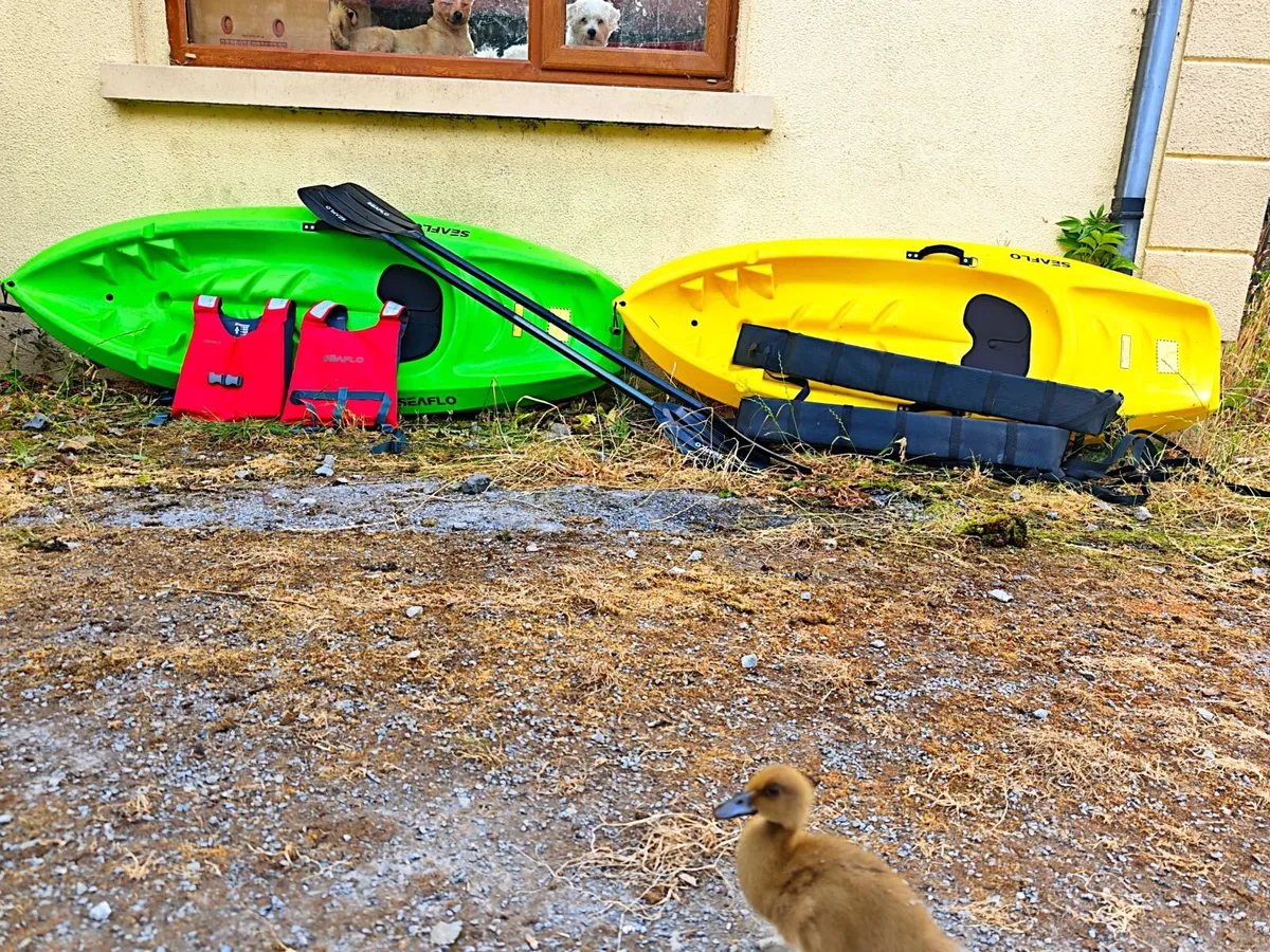 Kids kayak and accessories - Image 1