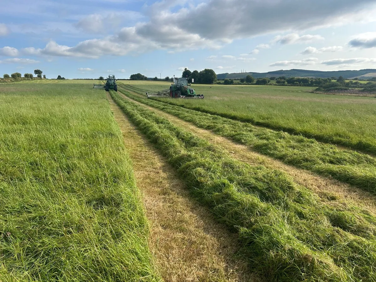 Land available for silage