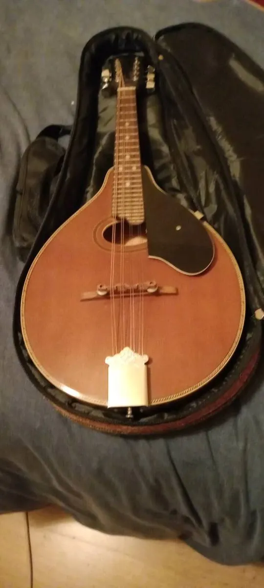 Palmer mandolin P3W late 70s r early 80s - Image 1