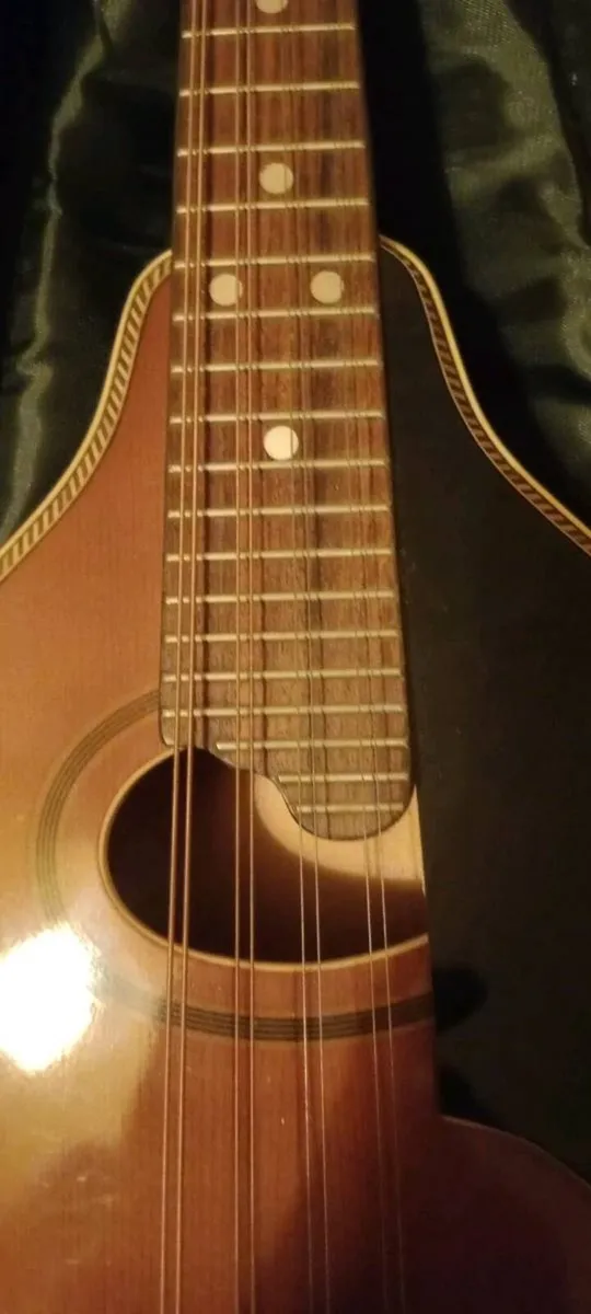 Palmer mandolin P3W late 70s r early 80s - Image 3