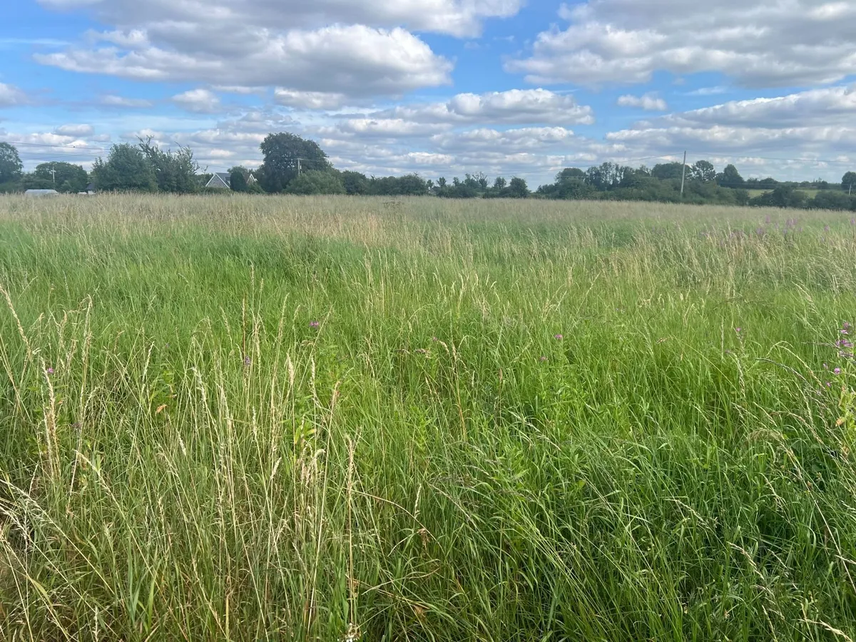4 acres of Grass off Meadow to be cut / taken away - Image 2