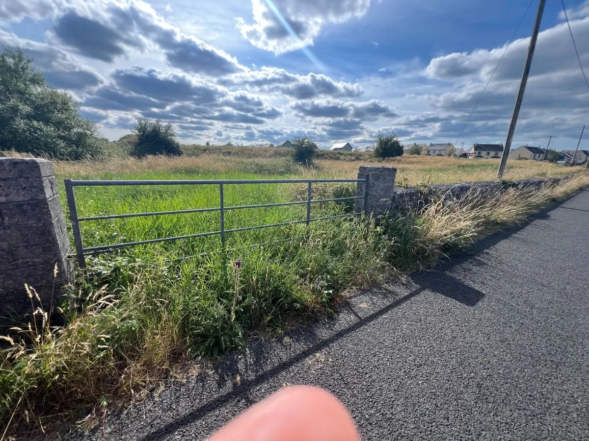4 acres of Grass off Meadow to be cut / taken away - Image 1