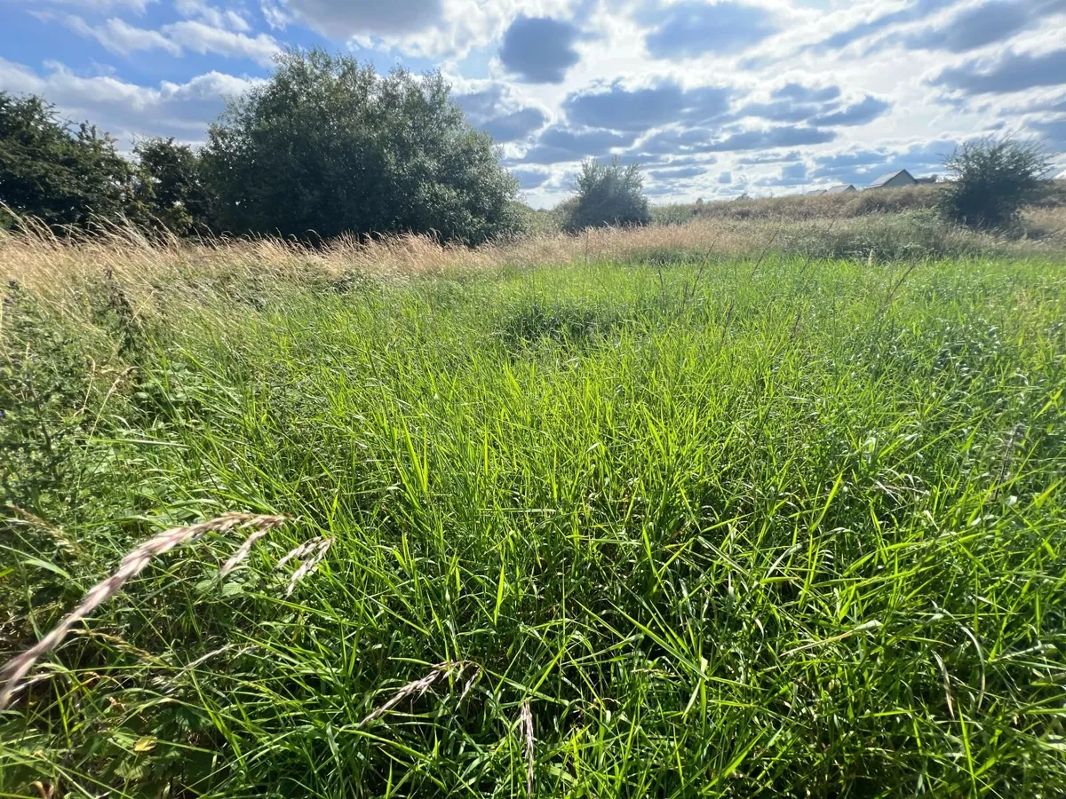 4 acres of Grass off Meadow to be cut / taken away - Image 3